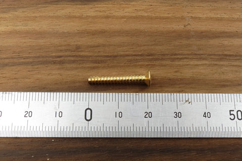 Single Coil Mounting Screw Gold