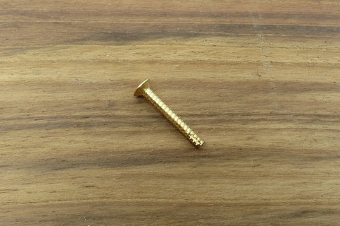 Image of Single Coil Mounting Screw Gold